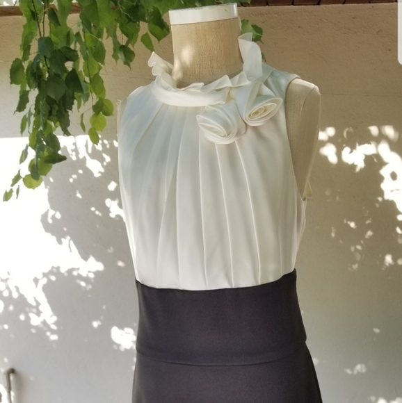 Dressbarn Collection Dresses & Skirts - Dress